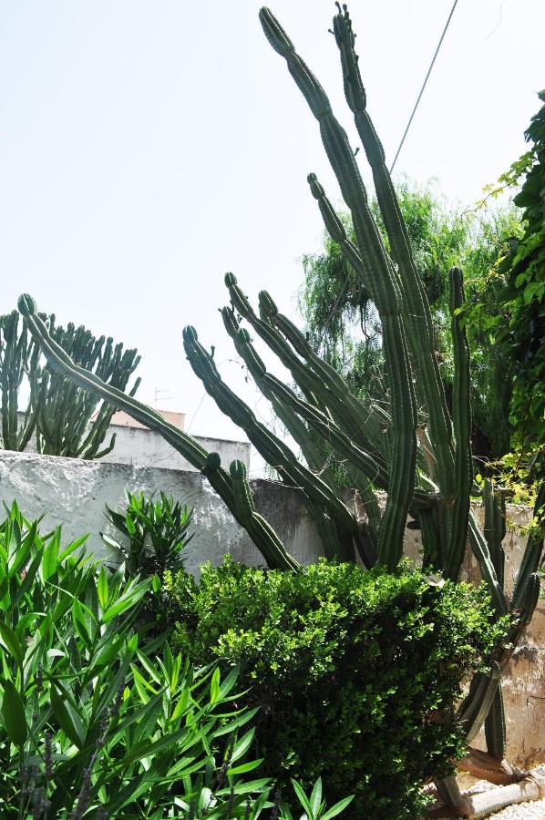 Il Giardino Di Bonagia Vila Tonnara di Bonagia Exterior foto